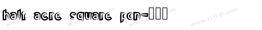 half acre square pon字体转换